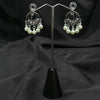 Silver plated Earrings With Purple & white pearls